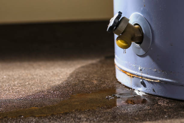 Best Carpet water damage restoration  in Waipahu, HI