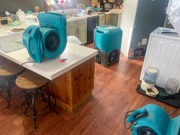 Best Water damage restoration company  in Waipahu, HI