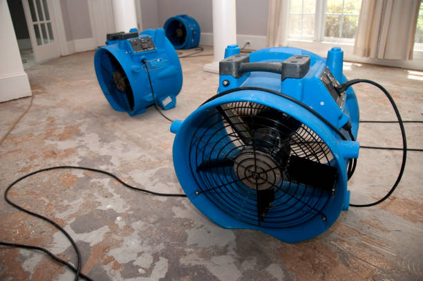 Water damage restoration insurance claims in HI
