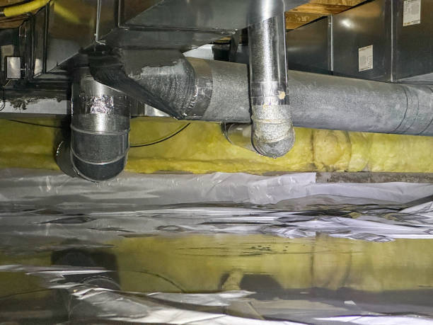 Best Water damage cleanup near me  in Waipahu, HI