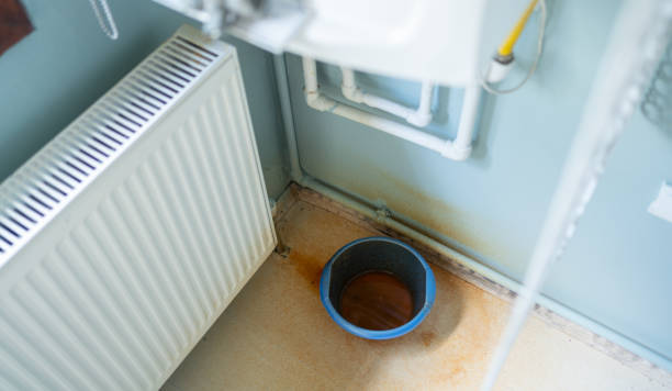Best Water damage restoration near me  in Waipahu, HI