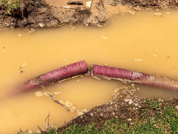Best Mold removal after water damage  in Waipahu, HI