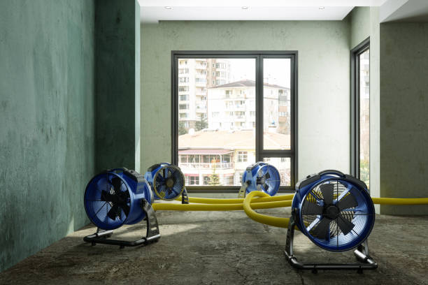 Best Residential water damage restoration  in Waipahu, HI
